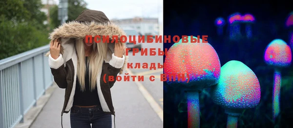 тгк Аркадак