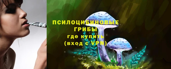 хмурый Армянск