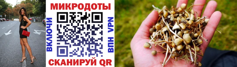 Псилоцибиновые грибы Magic Shrooms kraken зеркало Лаишево